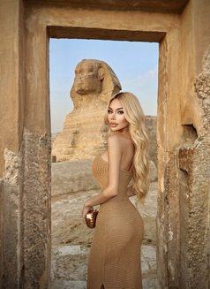 Ponybuny Top pornstar 🇹🇭 - Transsexual escort in Riyadh Photo 30 of 30