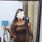 100% club girl(cam show & sex chat) meet - masseuse in Kochi Photo 1 of 4