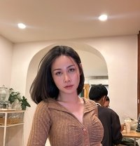 Poppy BigCock - Acompañantes transexual in Chiang Mai