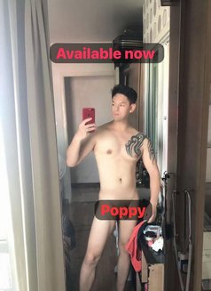 Poppy Full Service - Masajista in Bangkok Photo 15 of 15