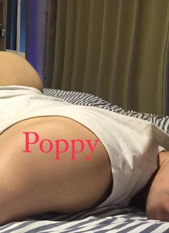 Poppy Massage - masseur in Khobar Photo 6 of 10