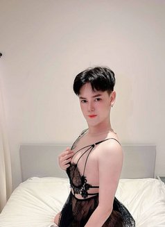 Poppy Sexy Ass in Riyadh - Acompañantes transexual in Riyadh Photo 1 of 7