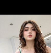 Porn Star Ibrata - Transsexual escort in Singapore