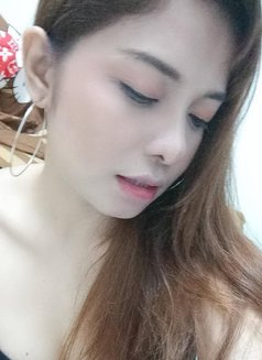 Porn253208 - escort in Bangkok Photo 6 of 8