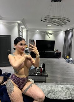 Pornstar Afet 24 cm şişli - Transsexual escort in İstanbul Photo 26 of 26