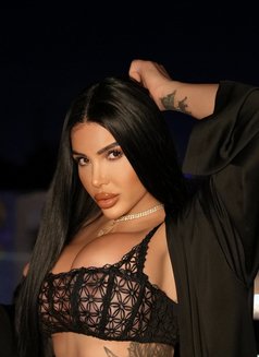 Pornstar Afet 24 cm şişli - Transsexual escort in İstanbul Photo 4 of 26