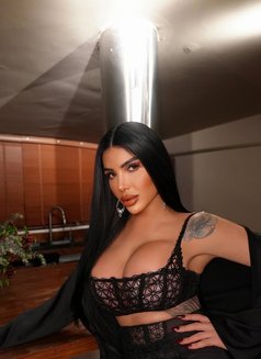 Pornstar Afet 24 cm şişli - Transsexual escort in İstanbul Photo 23 of 26