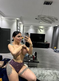 Pornstar Afet 24 cm şişli - Transsexual escort in İstanbul Photo 20 of 24