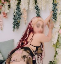 Pornstar Experience + Crazy GFE - escort in Colombo Photo 10 of 11