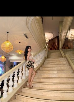 Pornstar Experience Lexi( Cam|Meet) - escort in Manila Photo 25 of 28