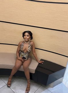 Portia - escort in Abu Dhabi Photo 1 of 1