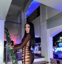 Ali Channel 🧿 - Acompañantes transexual in Angeles City