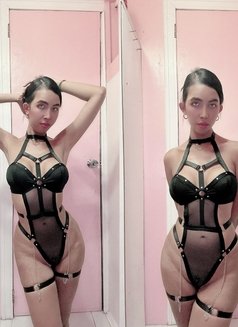 Veronika. (BDSM, Fetishes, Fantasy) - puta in Singapore Photo 7 of 30