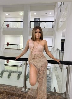 Power top ashley doll 🇵🇭TS - Acompañantes transexual in Dubai Photo 9 of 9
