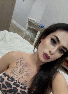 POWER TOP in AJMAN - Transsexual escort in Ajmān Photo 24 of 26