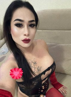 PUSSYcat DOGstyle - Transsexual escort in Ajmān Photo 2 of 28