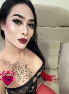 PUSSYcat DOGstyle - Transsexual escort in Ajmān Photo 27 of 28
