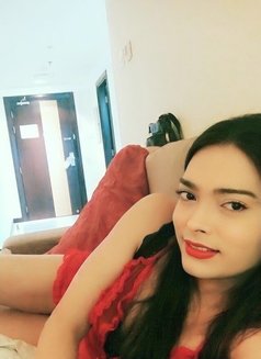 TOP FILIPINO TS- JUST ARRIVED - Transsexual escort in Taipei Photo 10 of 18