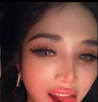 Powlar - Acompañantes transexual in Phuket