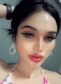Powlar - Transsexual escort in Phuket Photo 11 of 11