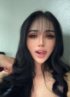 Powlar - Transsexual escort in Phuket Photo 25 of 28