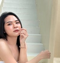 Poyd - Transsexual escort in Bangkok