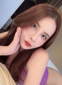 Ppingpp - escort in Tokyo Photo 1 of 14