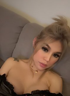 Pq Good - escort in Doha Photo 3 of 5