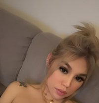 Pq Good - escort in Doha