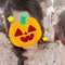 Upasana, for Chubby Lovers - escort in Chandigarh