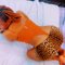 Cam show real meet in Whitefield - escort in Bangalore Photo 4 of 5