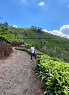 Prady69 (Only for ladies/couples) - Male escort in Bangalore Photo 7 of 8