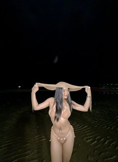 Praew New Baby Girl - escort in Okinawa Island Photo 13 of 20