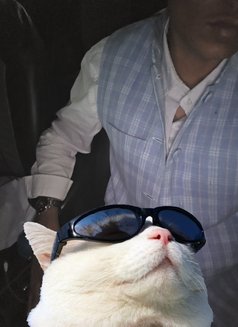 Pranav - Male escort in Udaipur Photo 1 of 4