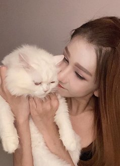 Prankhana korean girl🇰🇷 - escort in Pattaya Photo 7 of 22