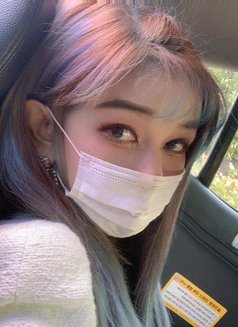 Prankhana korean girl🇰🇷 - escort in Pattaya Photo 16 of 22