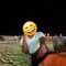 Prateek big hard dick - Male escort in Bangalore Photo 3 of 8