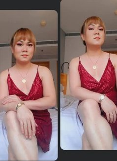 full of creamy cum here available now - Transsexual escort in Hong Kong Photo 16 of 20