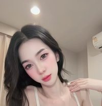 Preammee - Acompañantes transexual in Bangkok