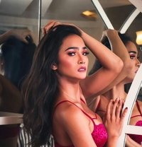 Ambrosia - Acompañantes transexual in Manila