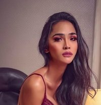 Ambrosia - Acompañantes transexual in Manila