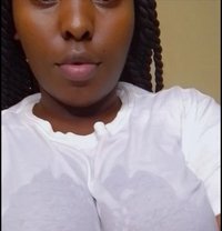 Precious - escort in Sasebo