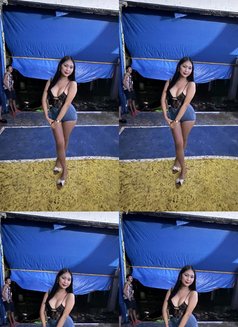 Precious - Transsexual escort in Makati City Photo 15 of 15