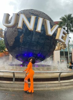 Precious - escort in Singapore Photo 2 of 4