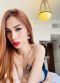 Precious Valerie (Power Top Sweet Bot) - Transsexual escort in Singapore Photo 19 of 29