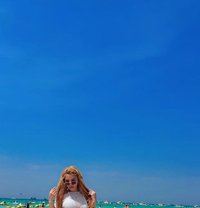 Premium Escort High Class Luxury Service - escort in Pune