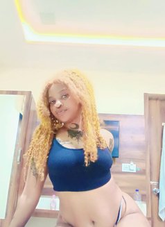 Premium Experience With Slim Thicc Sasha - escort in Hyderabad Photo 4 of 4