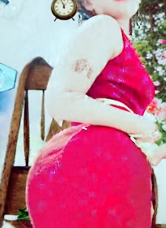 Premium high profile Colombo - escort in Colombo Photo 12 of 17