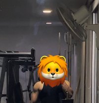 Premium Sarjapur Road Daddy - Male escort in Bangalore