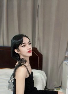 Premium Service with Jessica 🇹🇭 - Acompañantes transexual in Muscat Photo 4 of 15